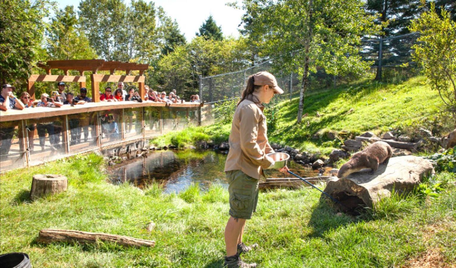 Auberge Soleil De Mer Bonaventure Eksteriør bilde